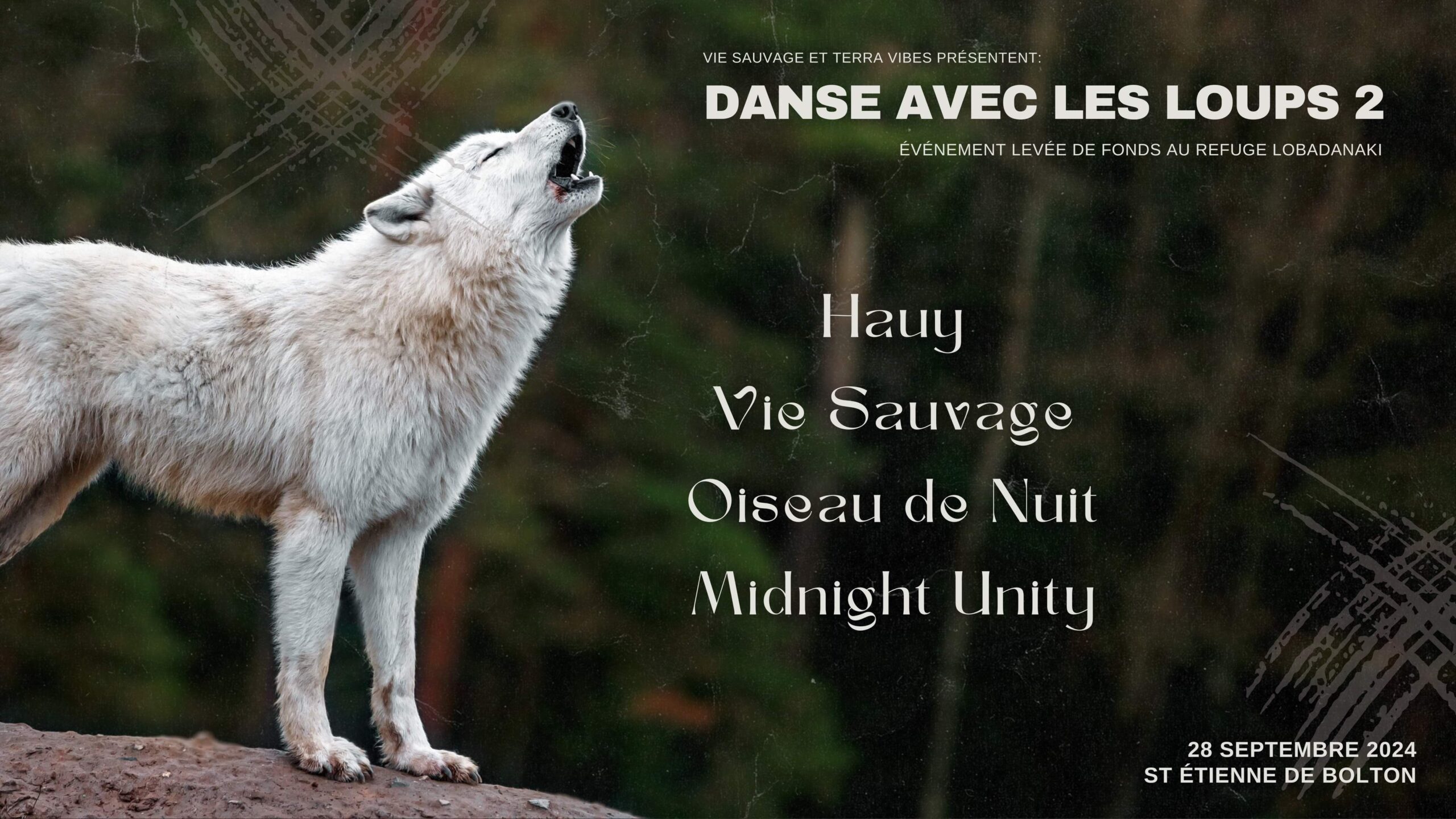 Danse avec les loups 2